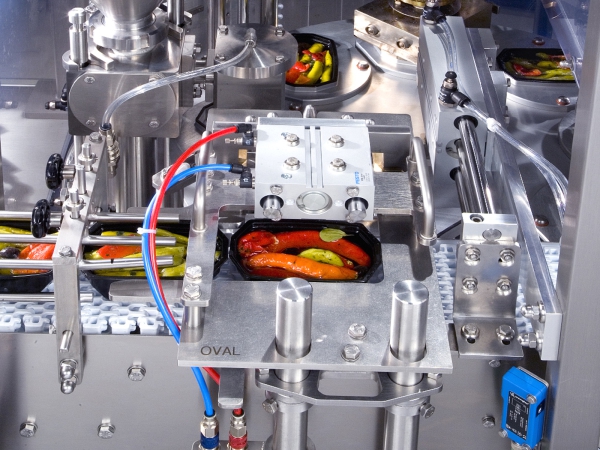 FOODLINER - Imagem 3