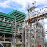 extracción semillas 1