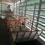 extracción semillas 5