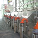 extracción semillas 6