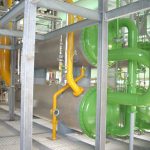 extracción semillas 7